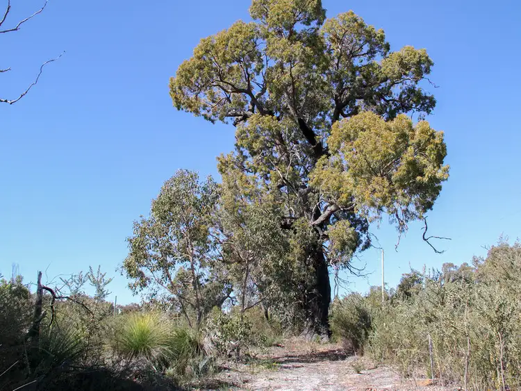 Fourth view of Homely land listing, 55 Drummondi Drive, Toodyay WA 6566