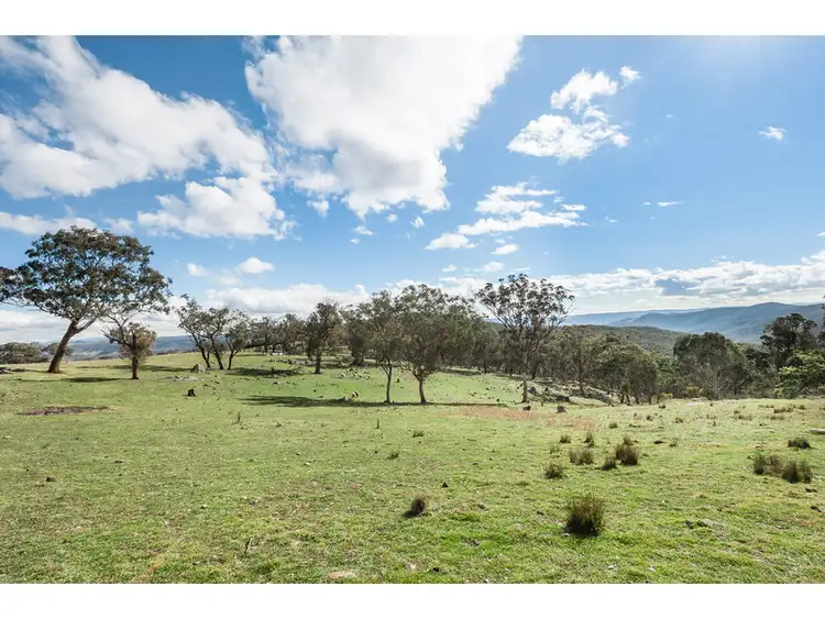 Seventh view of Homely rural property listing, 201 Peregrine Road, Billywillinga NSW 2795