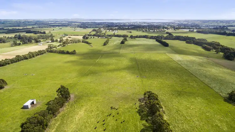 Third view of Homely rural property listing, 245 Christies Road, Elliminyt VIC 3250
