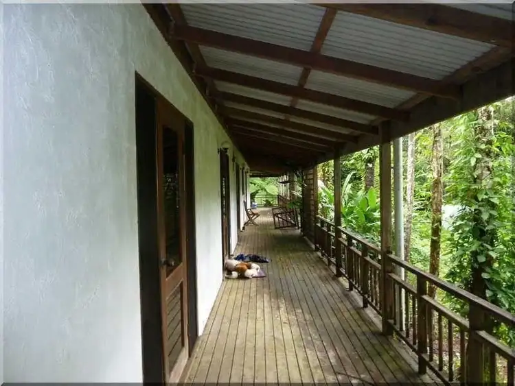 Sixth view of Homely house listing, 123 Thornton Peak Drive, Daintree QLD 4873