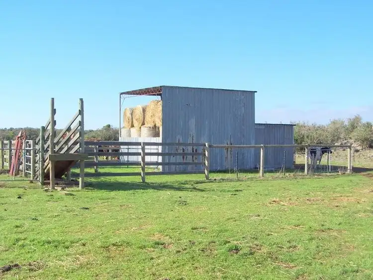 Second view of Homely rural property listing, 590 Beeac Dreeite Road, Dreeite VIC 3249