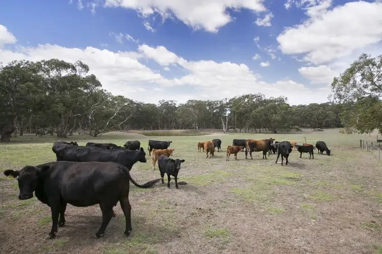 Fourth view of Homely rural property listing, 28 Coghlan Road, Rhyll VIC 3923