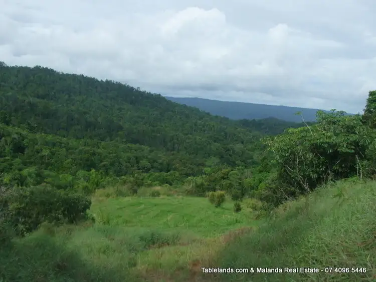 Fifth view of Homely rural property listing, LS516/Lot 1 Watson Road, Millaa Millaa QLD 4886