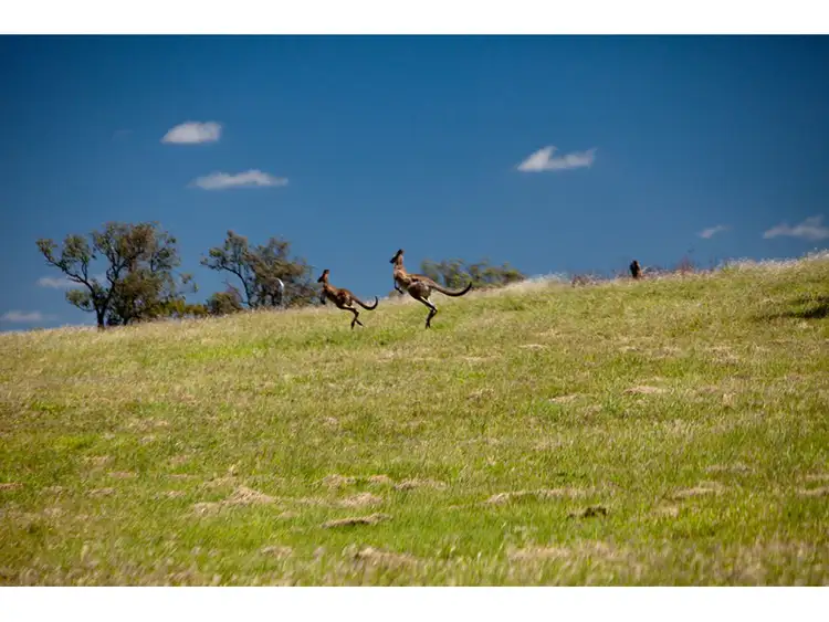 Sixth view of Homely land listing, LOT 13 Leitrim Court, Parkhurst QLD 4702