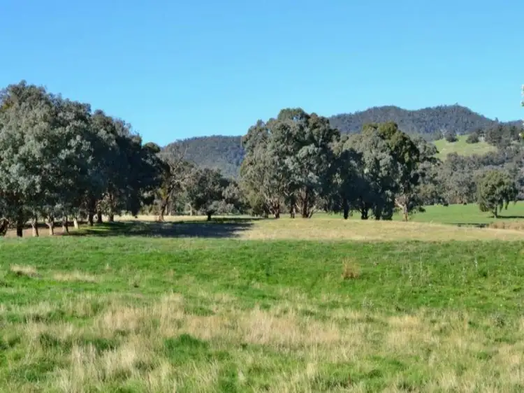 Fifth view of Homely rural property listing, LOT 1, 217 Desmonds Road, Mansfield VIC 3722