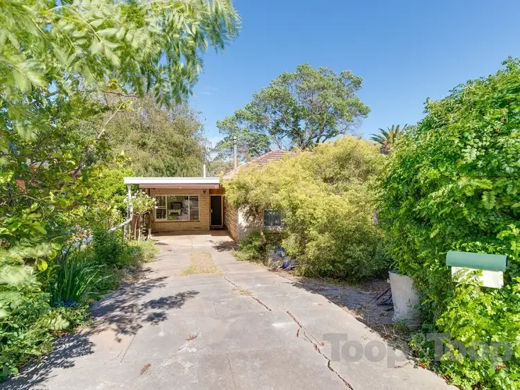 Second view of Homely house listing, 82 Linden Avenue, Hazelwood Park SA 5066