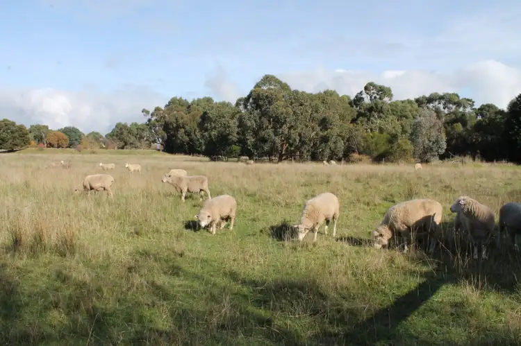 Sixth view of Homely house listing, 37 Bowden Street, Birregurra VIC 3242