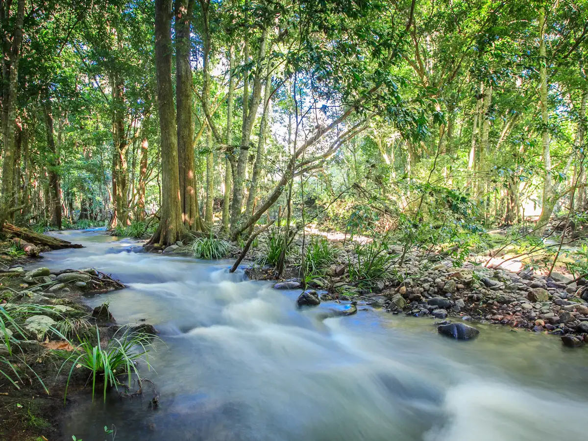 Main view of Homely land listing, 1864 Kyogle Road, Uki NSW 2484
