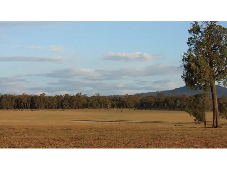 254 Simpson Road, Premer NSW 2381