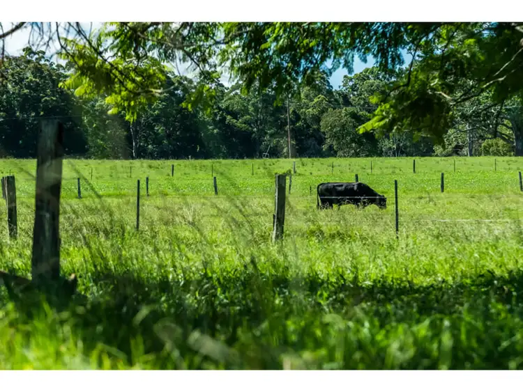 Seventh view of Homely rural property listing, 285 Roses Road, Bellingen NSW 2454