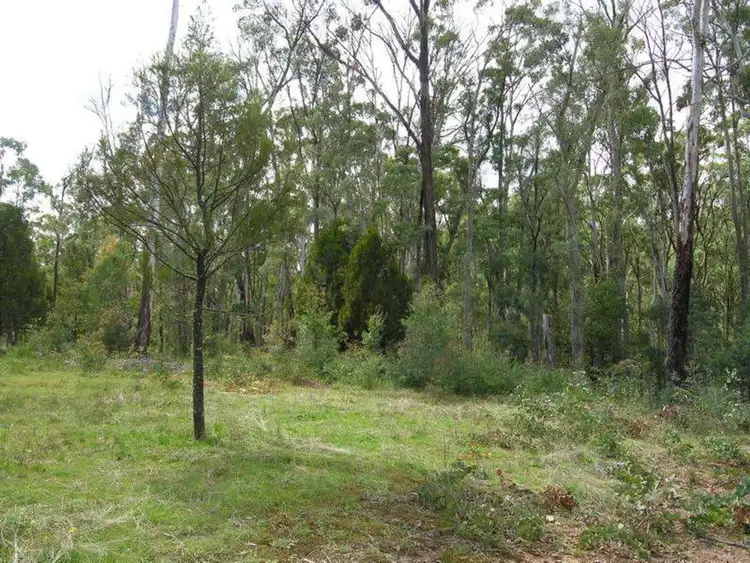 Sixth view of Homely rural property listing, Mahaikah Road, Tolmie VIC 3723