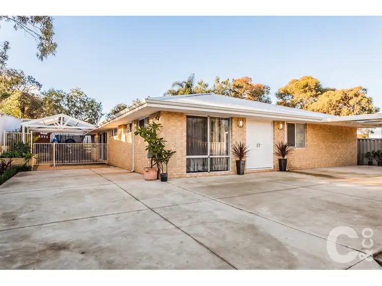 Main view of Homely house listing, 38a Cimbor Way, Parmelia WA 6167