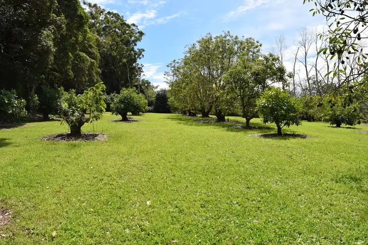 Fifth view of Homely house listing, 99-103 BEACON Road, Tamborine Mountain QLD 4272