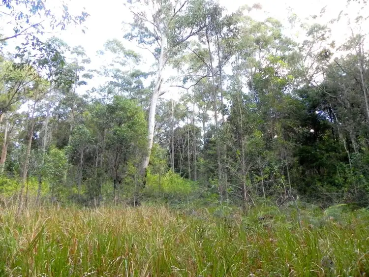 Sixth view of Homely rural property listing, Bostock Road, Tucabia NSW 2462