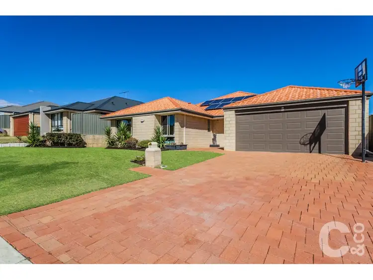 Main view of Homely house listing, 54 Beauchamp Loop, Wellard WA 6170
