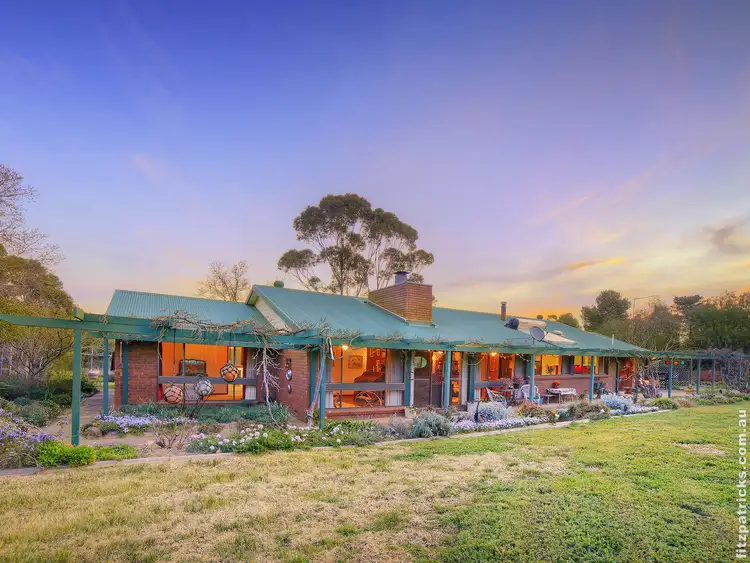 Second view of Homely rural property listing, 459 Mitchell Road, Lake Albert NSW 2650