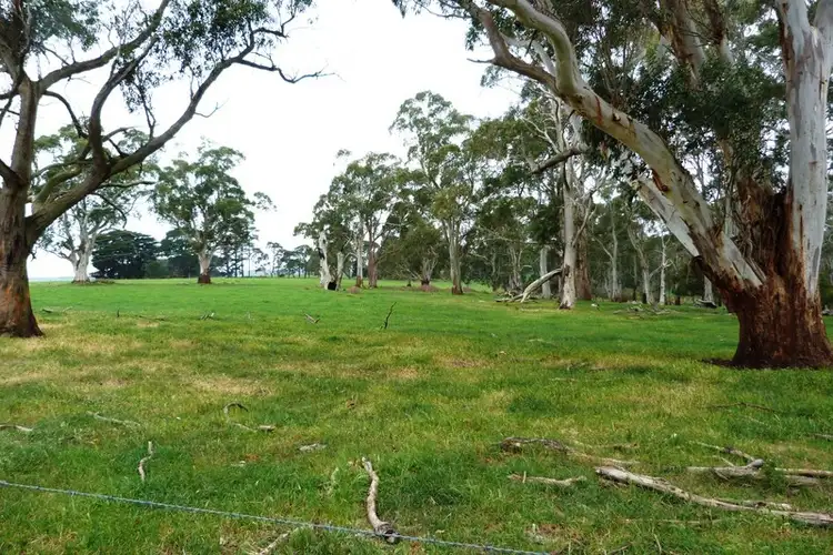 Fourth view of Homely rural property listing, 43 Beaton's Road, Cobden VIC 3266