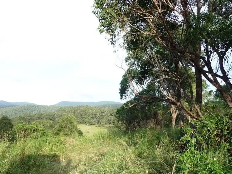Fifth view of Homely land listing, 121 Pocket Road, Numinbah Valley QLD 4211
