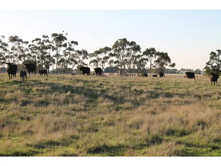 Sixth view of Homely rural property listing, 140 Nicholas Lane, Birregurra VIC 3242