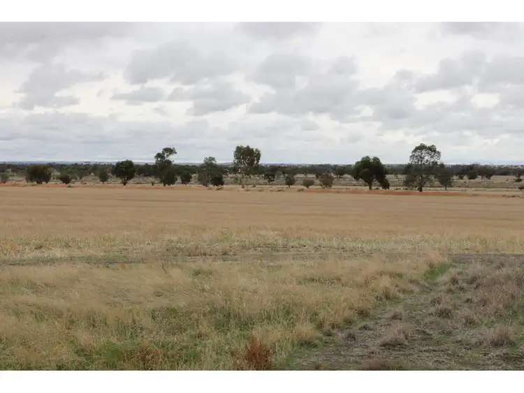 Seventh view of Homely rural property listing, 3311 Fiegert Road, Cunderdin WA 6407