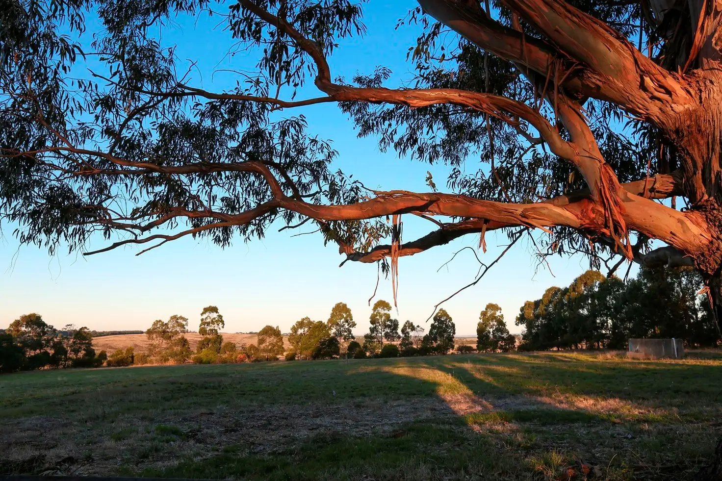 Main view of Homely rural property listing, 225 Old Yeo Road, Yeo VIC 3249