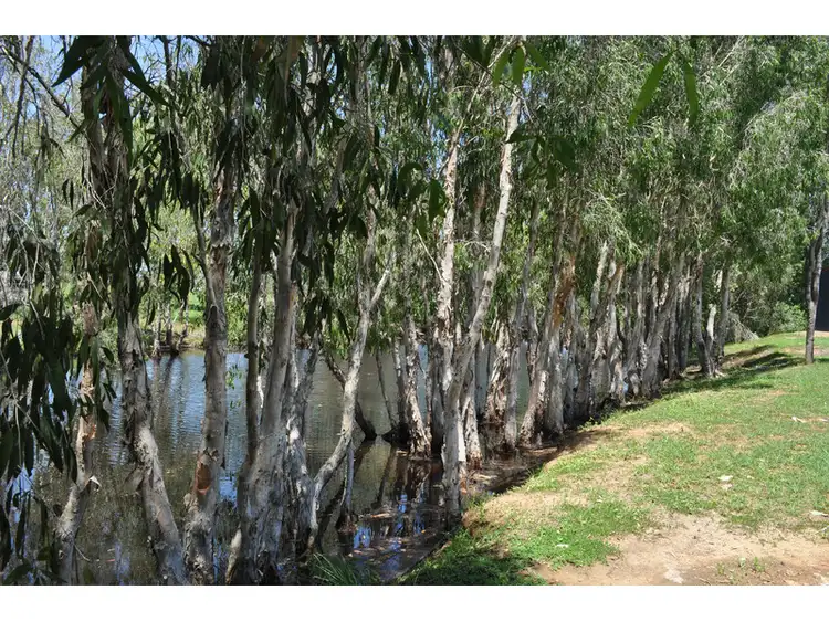 Seventh view of Homely house listing, 56 Cypress Road, Biboohra QLD 4880