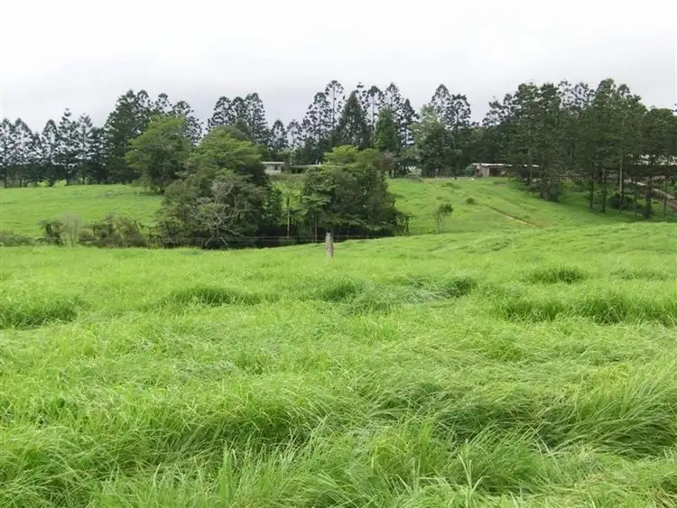 Fifth view of Homely rural property listing, F976 632-544 Maalan Road, Millaa Millaa QLD 4886