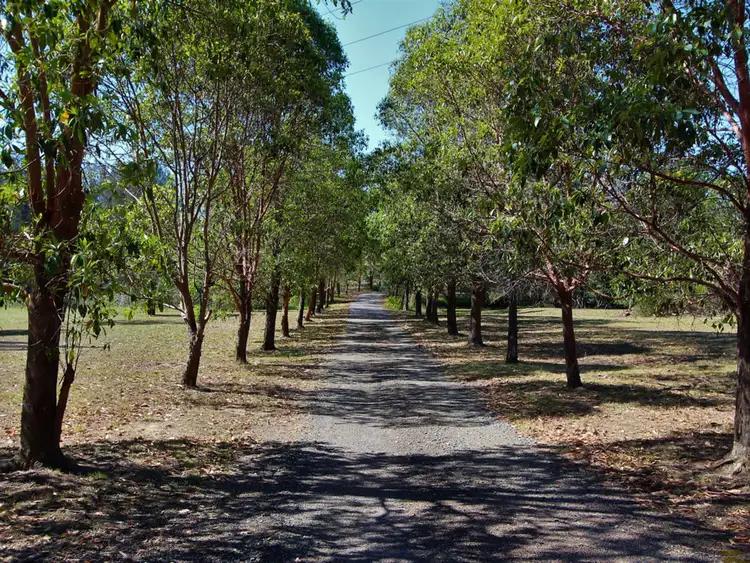 Second view of Homely rural property listing, 74 Wilderness Road, Lovedale NSW 2325