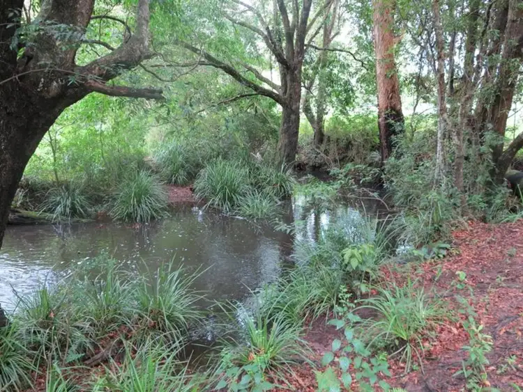 Second view of Homely land listing, 1-21 Lockes Lane, Belli Park QLD 4562