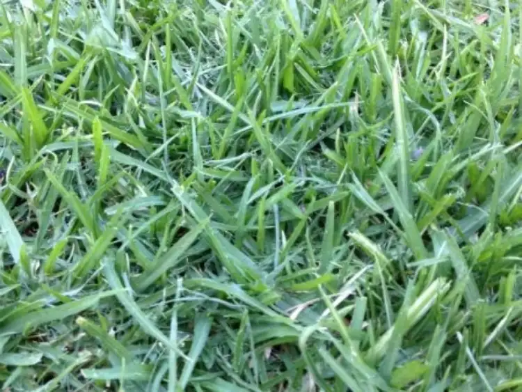 Main view of Homely land listing, LOT 629 Eros Crescent, Cranbourne West VIC 3977