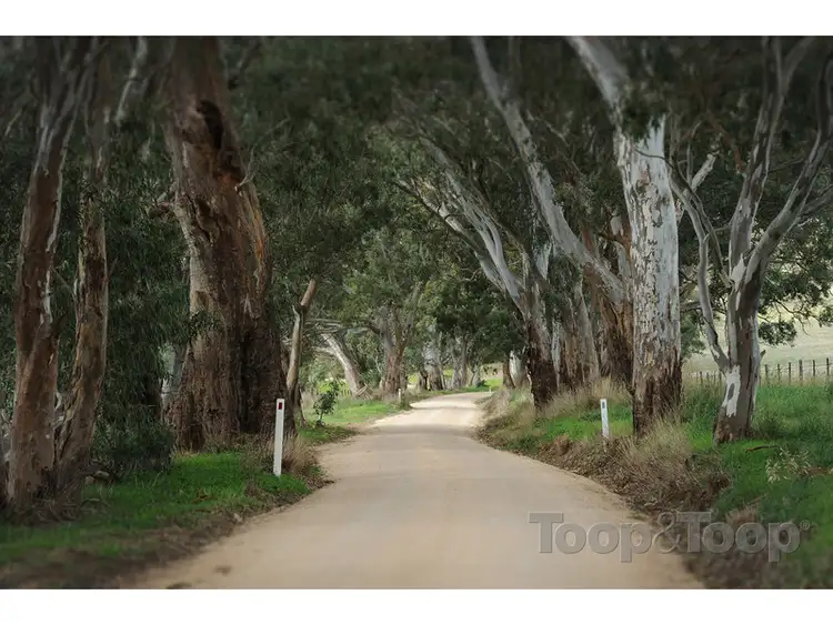 Third view of Homely land listing, LOT 41 Bunnett Road, Bugle Ranges SA 5251