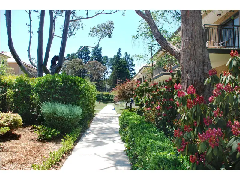 Main view of Homely unit listing, 113 & 114/100 - 116 Leura Mall, Leura NSW 2780
