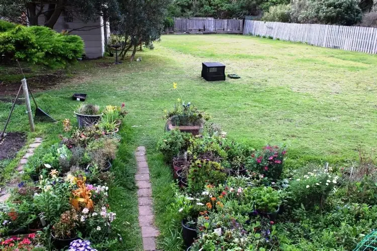 Fourth view of Homely house listing, 12 Pine Avenue, Surf Beach VIC 3922