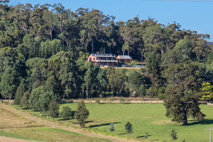 Second view of Homely house listing, 407 Candelo Road, Wolumla NSW 2550
