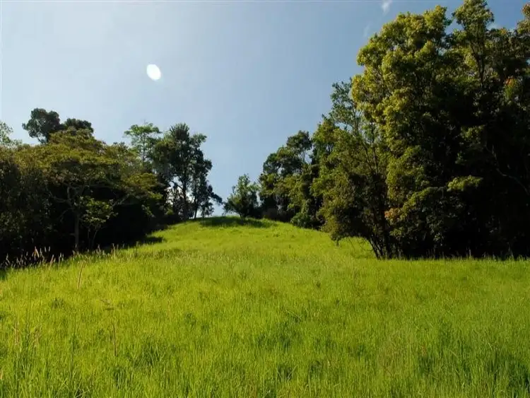 Seventh view of Homely rural property listing, LS236/Lot 1 Theresa Creek Road, Millaa Millaa QLD 4886