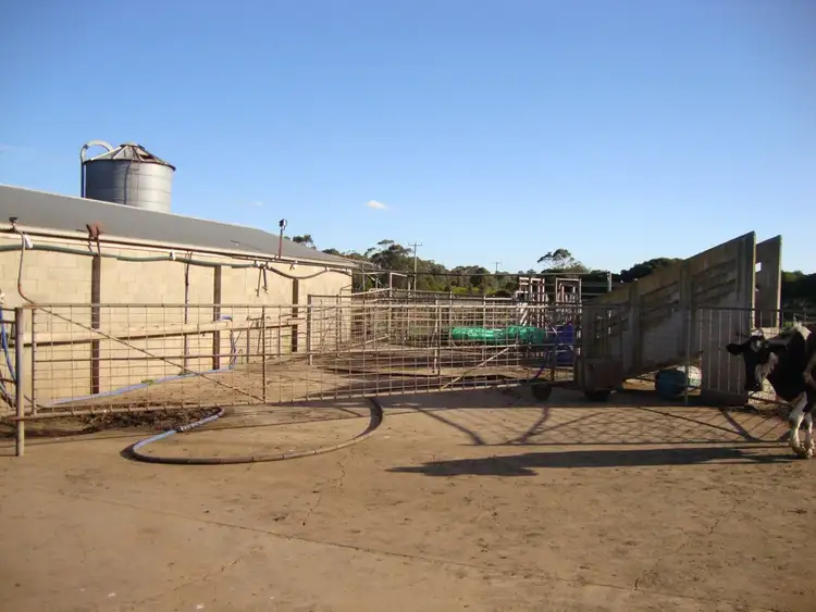 Fifth view of Homely rural property listing, 470A Cobden - Warrnambool Road, Cobden VIC 3266