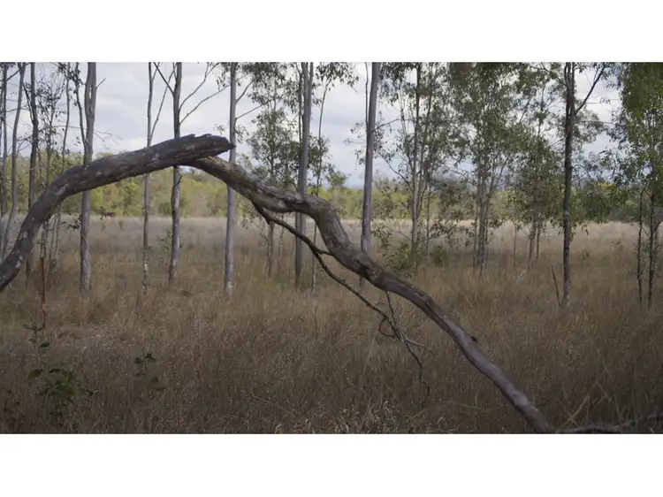 Fourth view of Homely rural property listing, 2 Main Greenswamp Road, Lake Clarendon QLD 4343