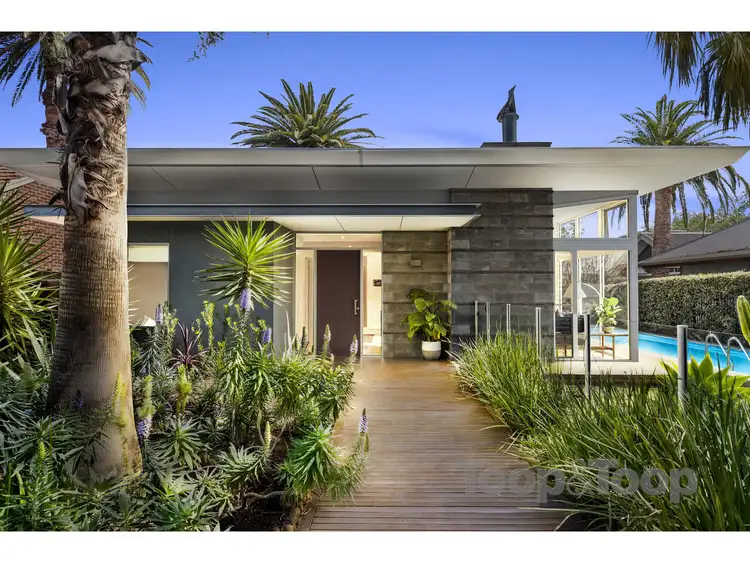 Main view of Homely house listing, 77 Tusmore Avenue, Tusmore SA 5065