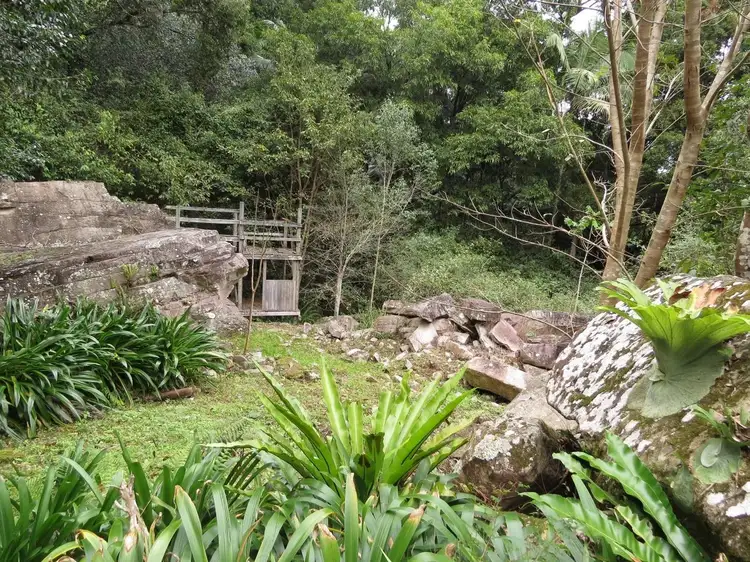 Main view of Homely rural property listing, 911 Kyogle Road, Uki NSW 2484