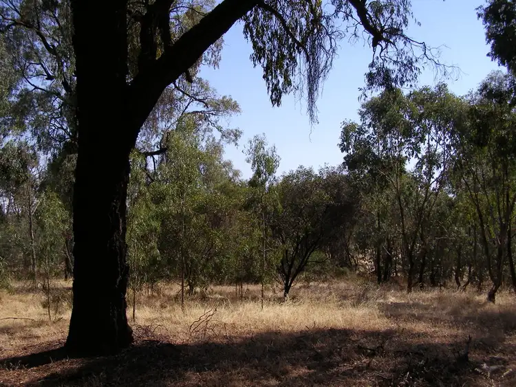 Sixth view of Homely rural property listing, 1 Asbury Road, Lurg VIC 3673