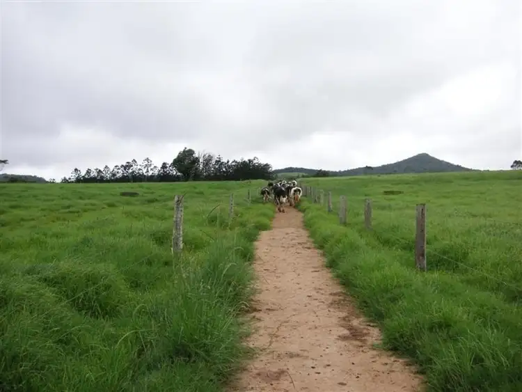 Seventh view of Homely rural property listing, F976 632-544 Maalan Road, Millaa Millaa QLD 4886