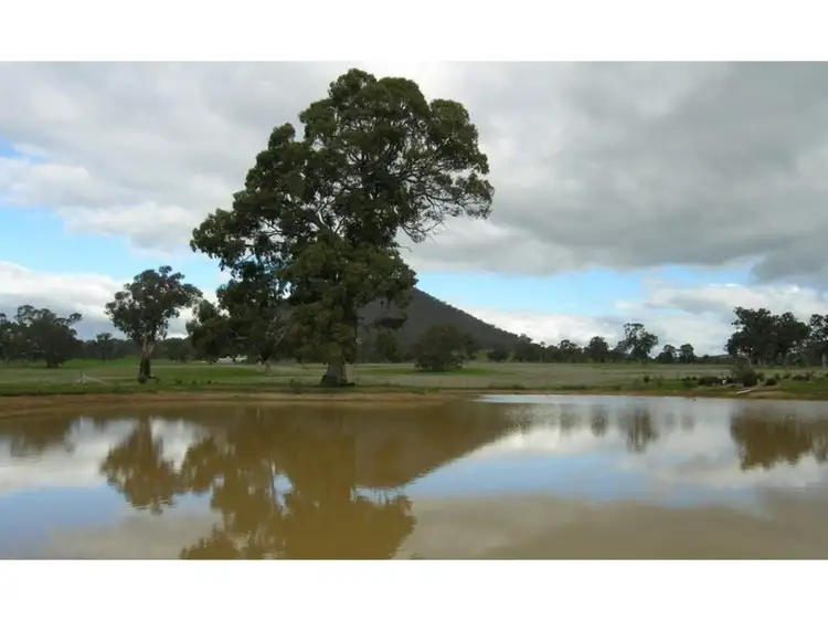 Second view of Homely rural property listing, 2647 Maroondah Highway, Mansfield VIC 3722