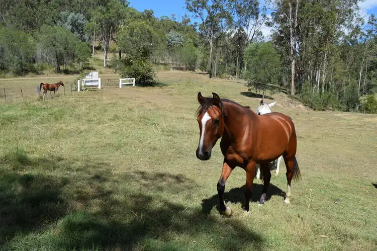 Third view of Homely rural property listing, 1212 WILD PIG CREEK Road, Undullah QLD 4285