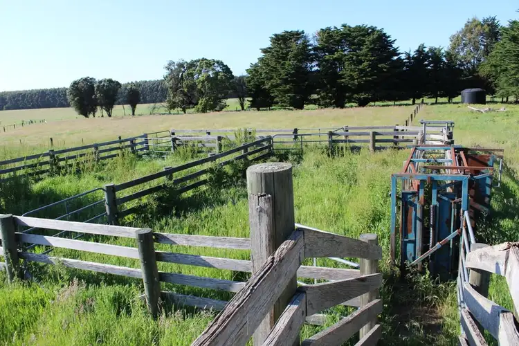 Third view of Homely rural property listing, Friends Road, Myamyn VIC 3304