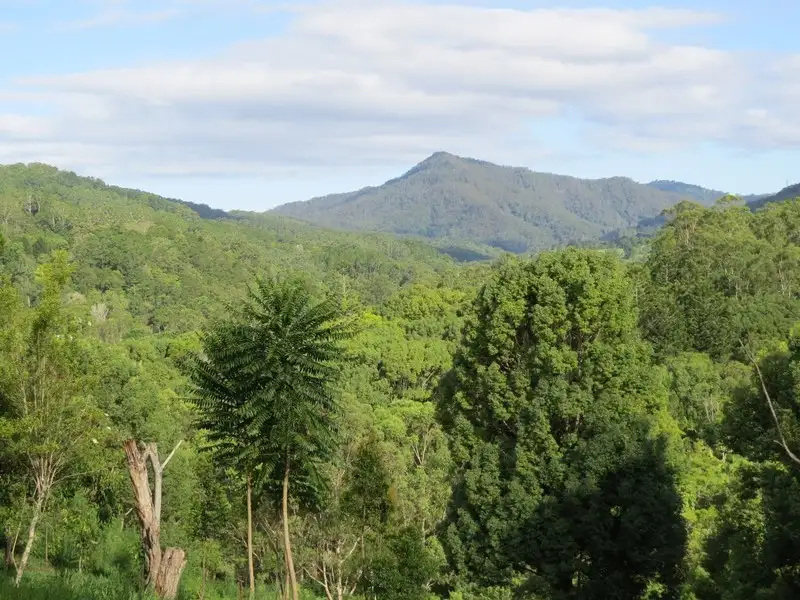 Main view of Homely rural property listing, 196 Rowlands creek Road, Uki NSW 2484