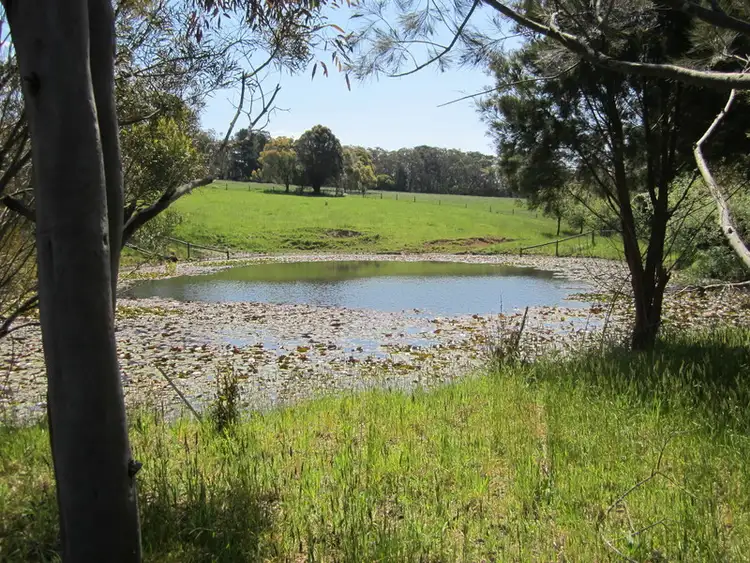 Fifth view of Homely rural property listing, 11 MacPhersons Lane, Main Ridge VIC 3928