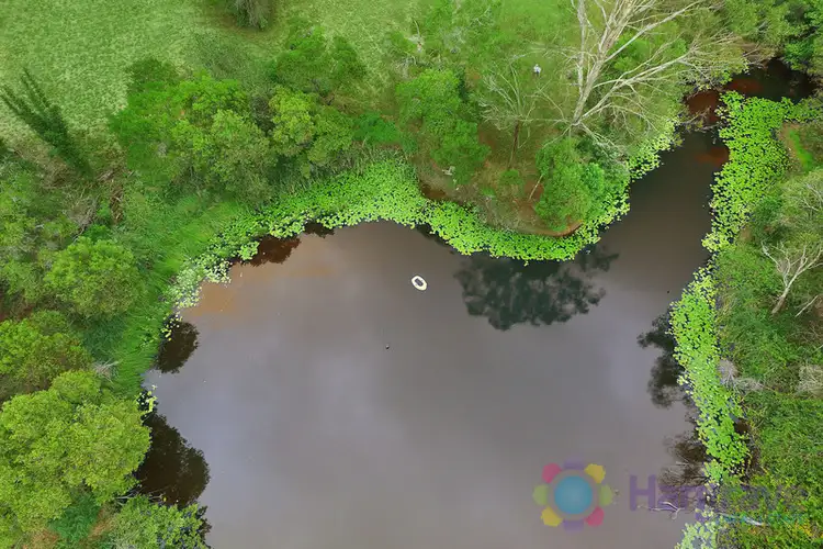 Fourth view of Homely land listing, 216 Arthys Road, Cooran QLD 4569