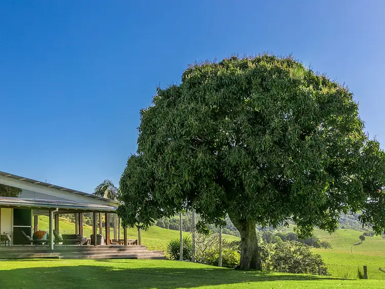 Fifth view of Homely house listing, 46 Myocum Ridge Road, Myocum NSW 2481
