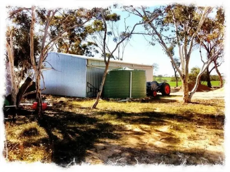 1117 Catabody Road, Calingiri WA 6569