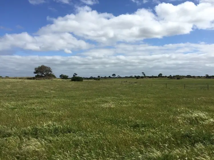 Second view of Homely rural property listing, 65 Monaghans Road, Ondit VIC 3249